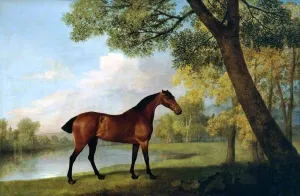 Bay Hunter by a Lake by George Stubbs - Oil Painting Reproduction