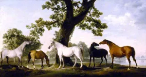 Five Brood Mares at the Duke of Cumberland's Stud Farm in Windsor Great Park painting by George Stubbs