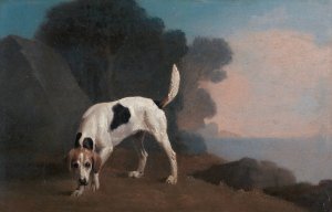 Foxhound on the Scent by George Stubbs Oil Painting
