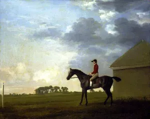 Gimcrack with John Pratt up on Newmarket Heath by George Stubbs - Oil Painting Reproduction