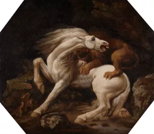 Horse Attacked by a Lion by George Stubbs Oil Painting