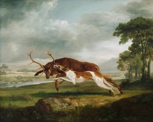 Hound Coursing a Stag by George Stubbs Oil Painting