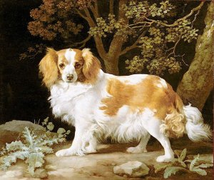 King Charles Spaniel Oil painting by George Stubbs