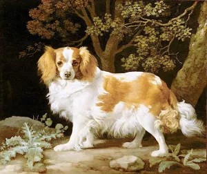 King Charles Spaniel by George Stubbs - Oil Painting Reproduction