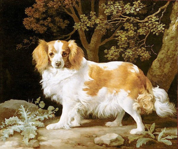 Main Product Photo of King Charles Spaniel Painting by George Stubbs