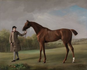Lustre, held by a Groom by George Stubbs Oil Painting