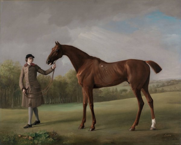 Lustre, held by a Groom  by George Stubbs - Hand-Painted Oil Painting Reproduction