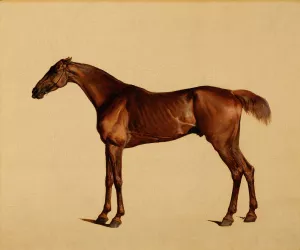Pangloss by George Stubbs Oil Painting