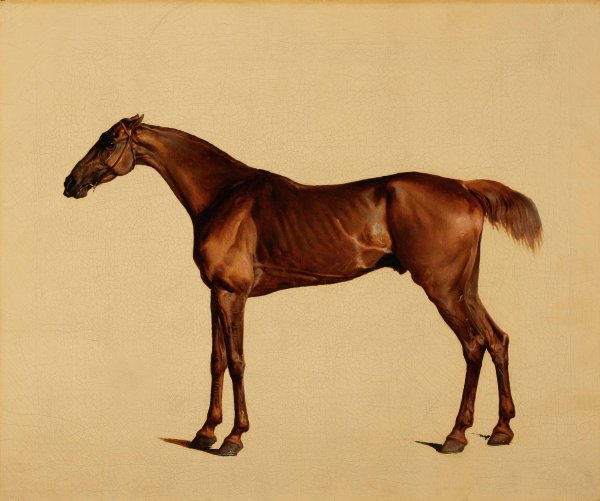 Pangloss  by George Stubbs - Hand-Painted Oil Painting Reproduction