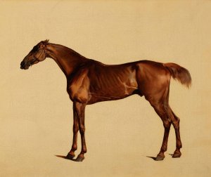 Pangloss Oil painting by George Stubbs
