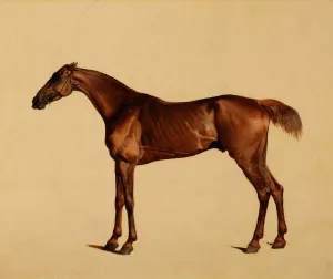 Pangloss by George Stubbs Oil Painting