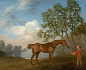 Pumpkin with a Stable-lad by George Stubbs Oil Painting