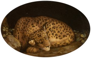 Sleeping Leopard by George Stubbs Oil Painting