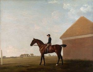 Turf, with Jockey up, at Newmarket by George Stubbs Oil Painting