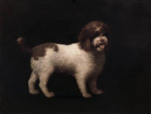 Water Spaniel by George Stubbs Oil Painting