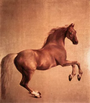 Whistlejacket painting by George Stubbs