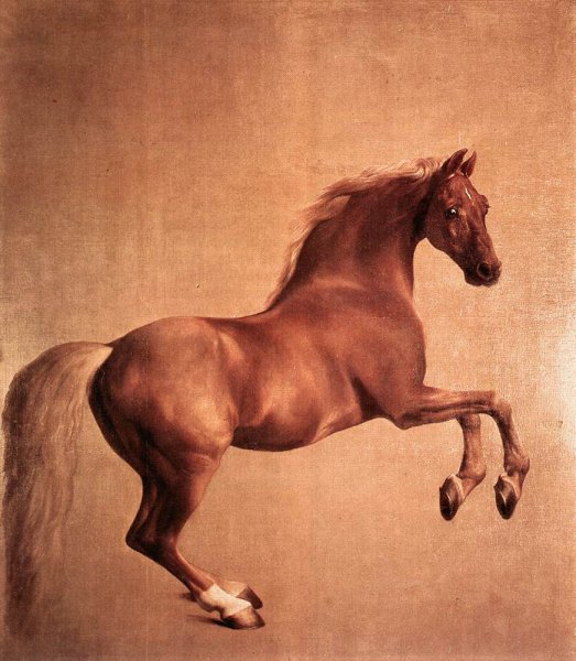 Main Product Photo of Whistlejacket Painting by George Stubbs