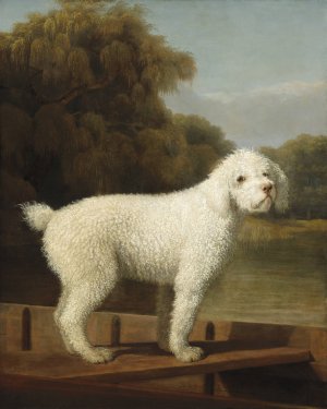 White Poodle in a Punt by George Stubbs Oil Painting