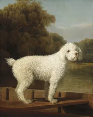 White Poodle in a Punt by George Stubbs Oil Painting