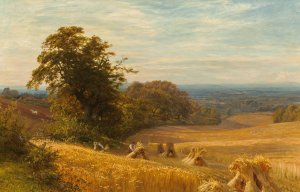 Cornfield at Abingdon, Berks by George Vicat Cole Oil Painting