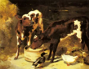 Calves Feeding by George W. Horlor - Oil Painting Reproduction