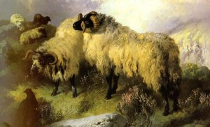 Highland Scene with Sheep and Grouse