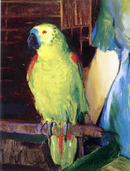 Main Product Photo of Parrot Painting by George Wesley Bellows