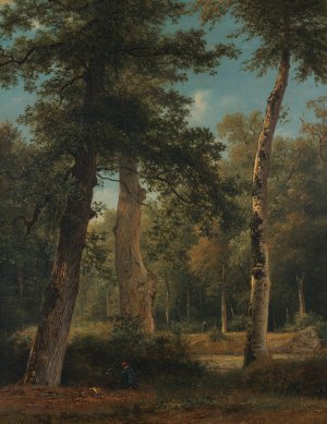 A forest in Fontainebleau by Georgius Jacobus Johannes Van Os Oil Painting