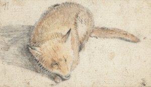 Slapende vos by Gerard Ter Borch Oil Painting