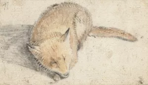 Slapende vos by Gerard Ter Borch Oil Painting