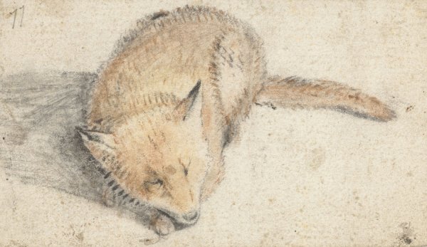 Slapende vos  by Gerard Ter Borch - Hand-Painted Oil Painting Reproduction