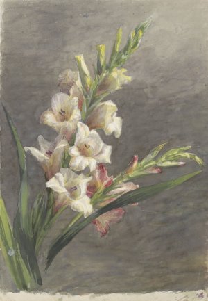 Gladiolen by Gerardina Jacoba Van De Sande Bakhuyzen Oil Painting