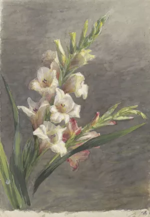 Gladiolen by Gerardina Jacoba Van De Sande Bakhuyzen Oil Painting