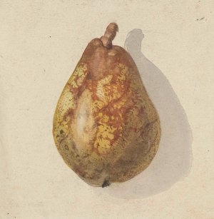 Peer by Gerardina Jacoba Van De Sande Bakhuyzen Oil Painting