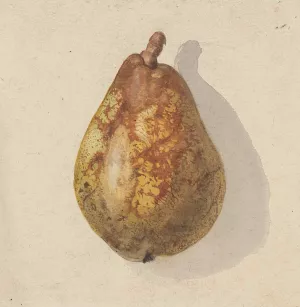 Peer by Gerardina Jacoba Van De Sande Bakhuyzen Oil Painting