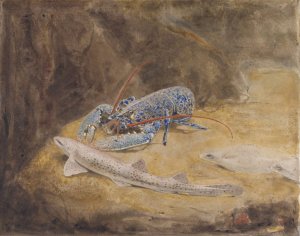 Aquarium met drie Noordzee vissen; Zeekreeft, Hondshaai en Schol by Gerrit Willem Dijsselhof Oil Painting
