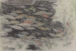 Aquarium met goudwinden by Gerrit Willem Dijsselhof Oil Painting