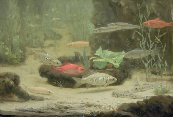 Gold and Silverfish in an Aquarium  by Gerrit Willem Dijsselhof - Hand-Painted Oil Painting Reproduction