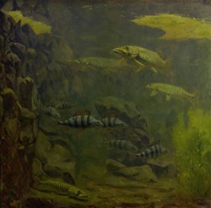Pike and Perch in an Aquaruim by Gerrit Willem Dijsselhof Oil Painting