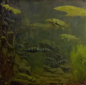 Pike and Perch in an Aquaruim by Gerrit Willem Dijsselhof Oil Painting