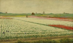 Tulip Fields by Gerrit Willem Dijsselhof Oil Painting