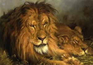 A Lion and Lioness by Geza Vastagh - Oil Painting Reproduction