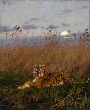 A Tiger Among Rushes In The Moonlight by Geza Vastagh Oil Painting