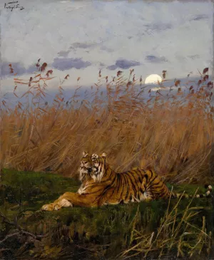A Tiger Among Rushes In The Moonlight by Geza Vastagh A Tiger Among Rushes In The Moonlight by Geza Vastagh Oil Painting