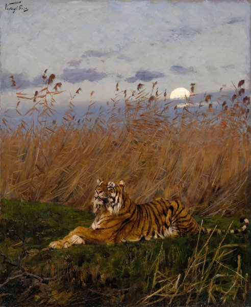 A Tiger Among Rushes In The Moonlight by Geza Vastagh - Hand-Painted Oil Painting Reproduction