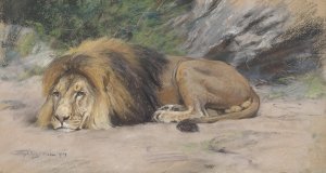 Reclining lion by Geza Vastagh Oil Painting