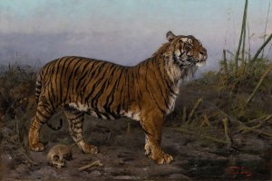 Royal Tiger by Geza Vastagh Oil Painting