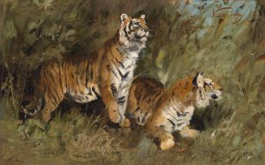 Tiger im hohen Gras by Geza Vastagh Oil Painting