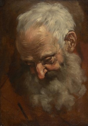 Head of a Bearded Man by Giacomo Cavedone Oil Painting