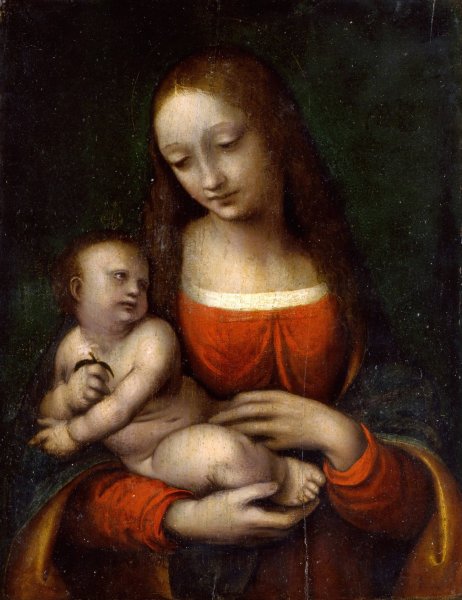 The Virgin and Child Icosidodecahedron  by Giampietrino (Giovanni Pietro Rizzoli) - Hand-Painted Oil Painting Reproduction